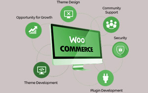WooCommerce Development In Mississauga