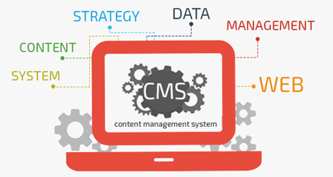 CMS Development Services