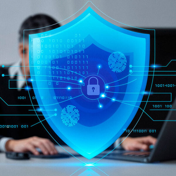 Common Website Security Risks and How to Avoid Them